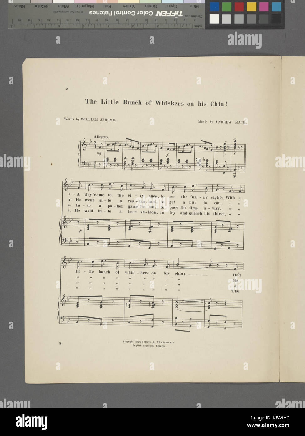 The little bunch of whiskers on his chin (NYPL Hades 454242 1703906) Stock Photo