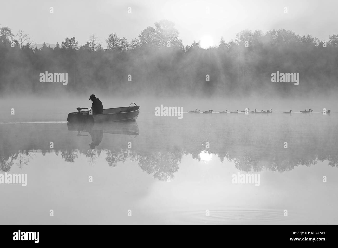 Sunrise in fog Lake Cassidy with fisherman in small fishing boat Stock