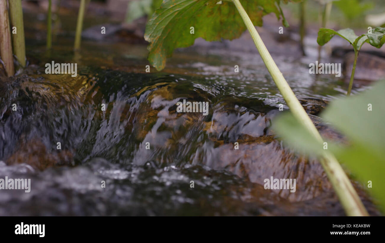 Water splash in river. Water in river close up with bubbles. Water