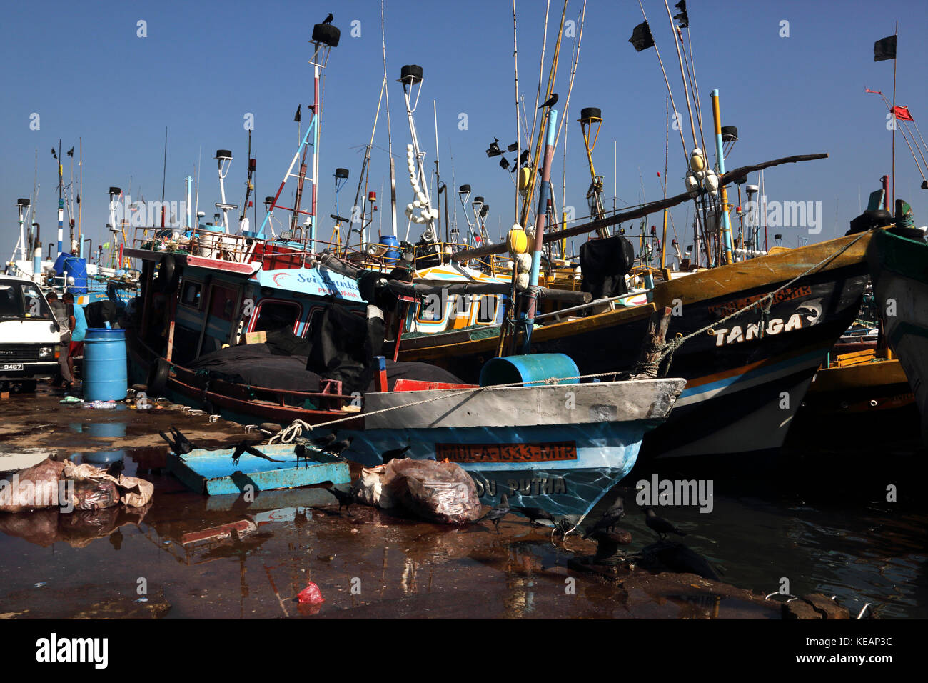 Mirissa Fishery Harbour Southern Province Sri Lanka Fishing Boats Stock Photo