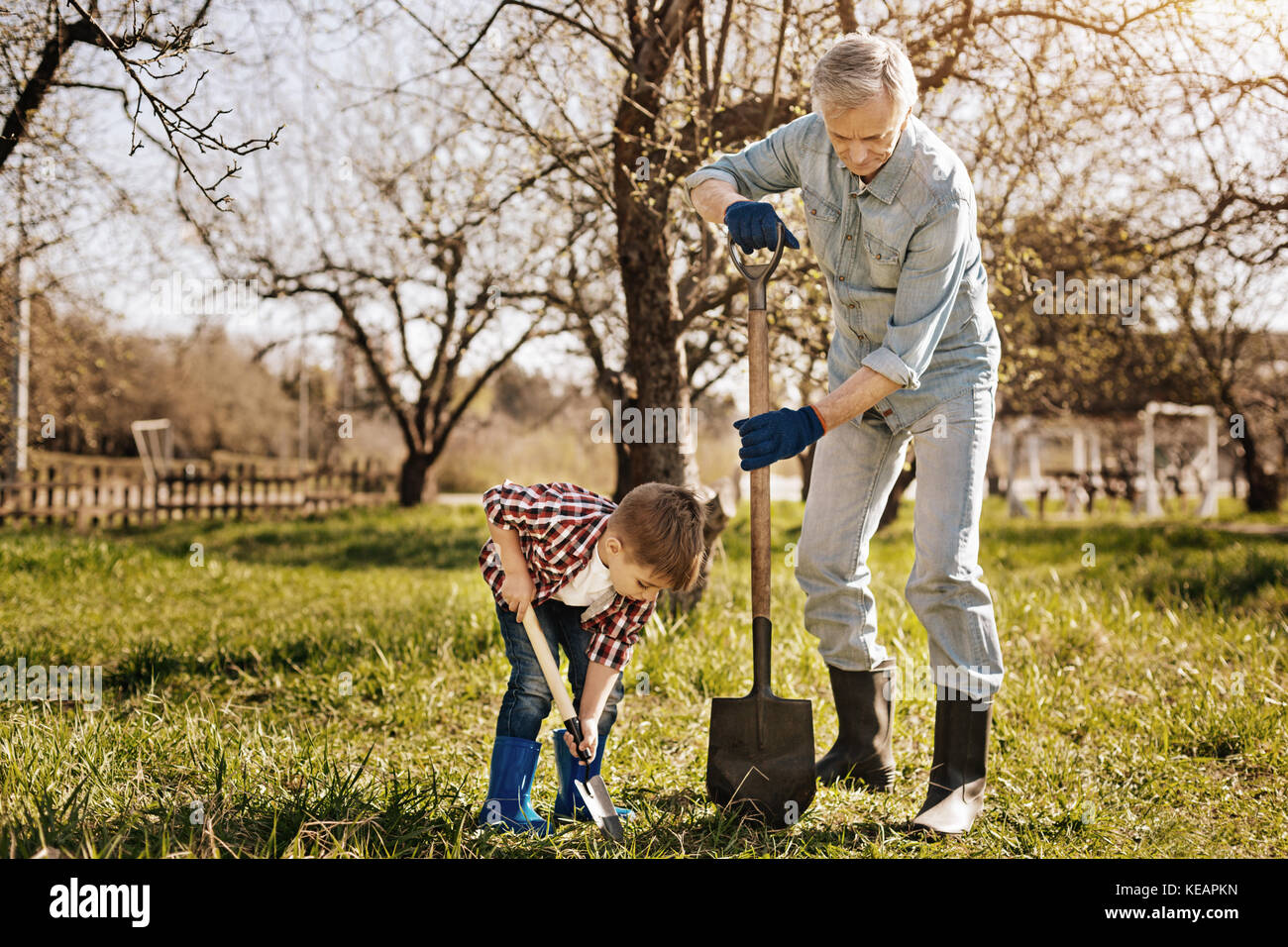 Serious senior man holding big shovel Stock Photo - Alamy