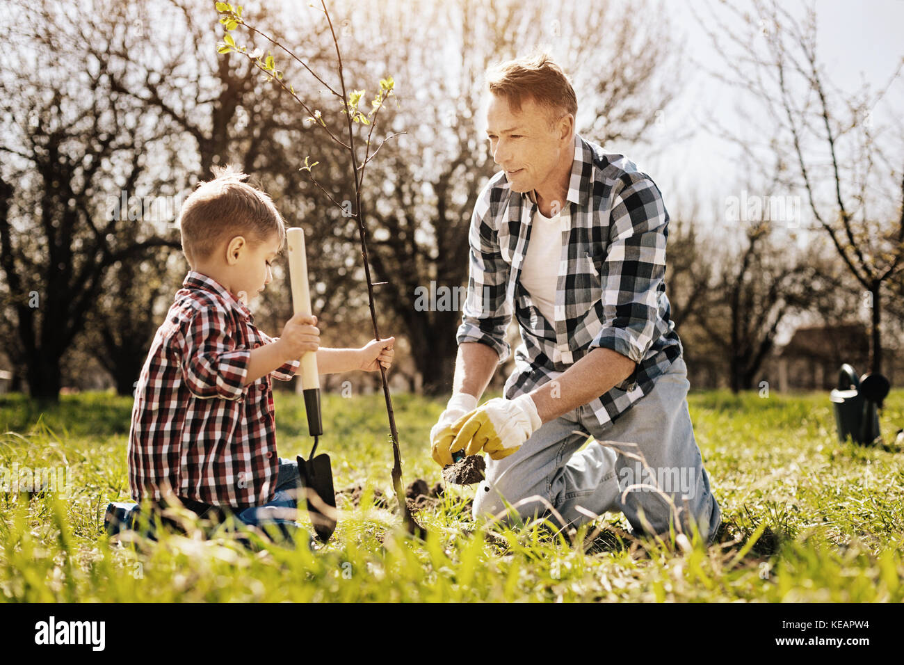 Attentive boy holding young plant in left hand Stock Photo