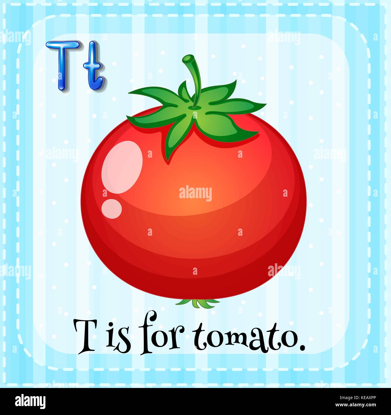 Flashcard letter T is for tomato Stock Vector Image & Art Alamy