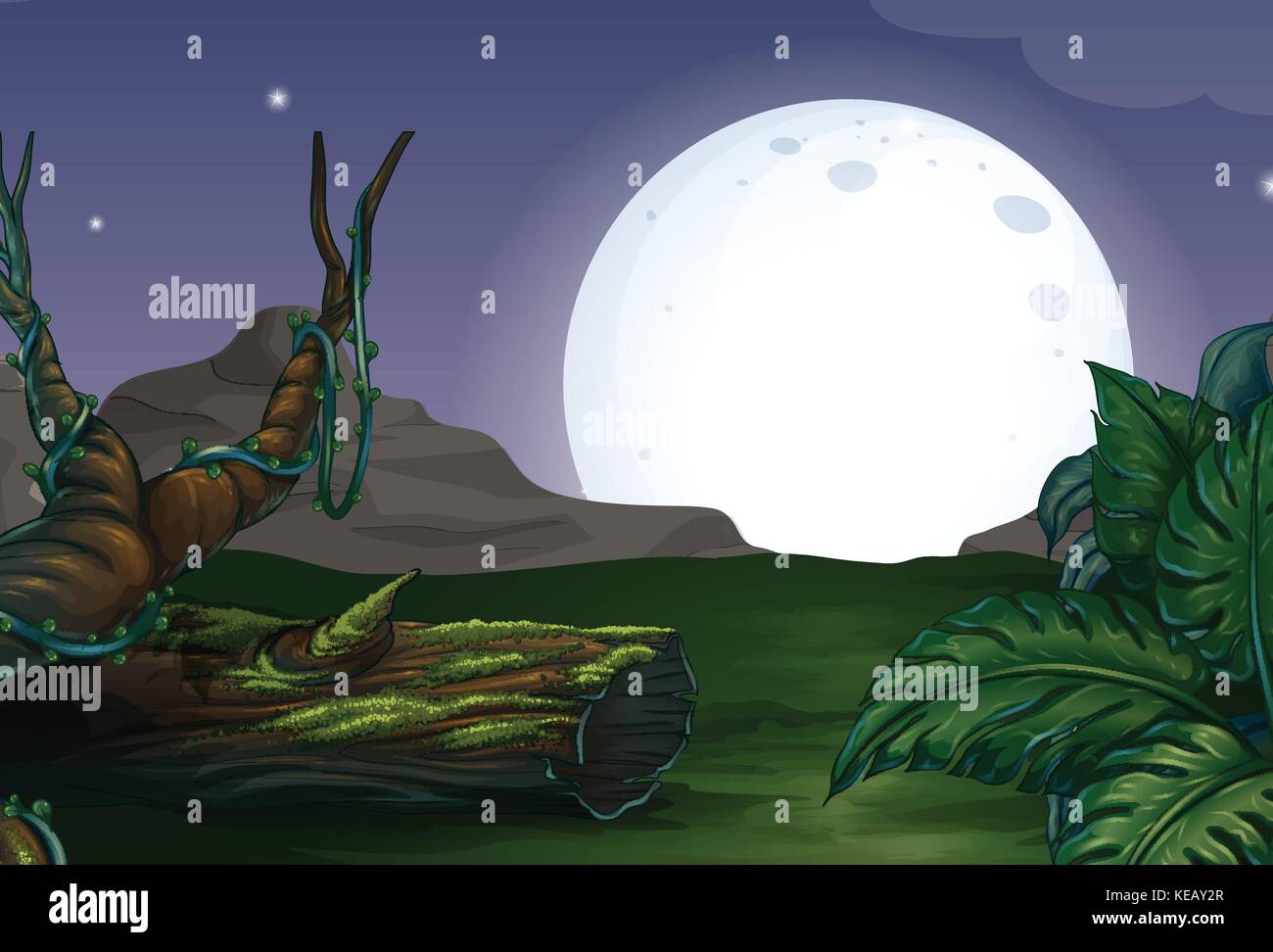 Forest At Night With Fullmoon Background Stock Vector Image Art Alamy