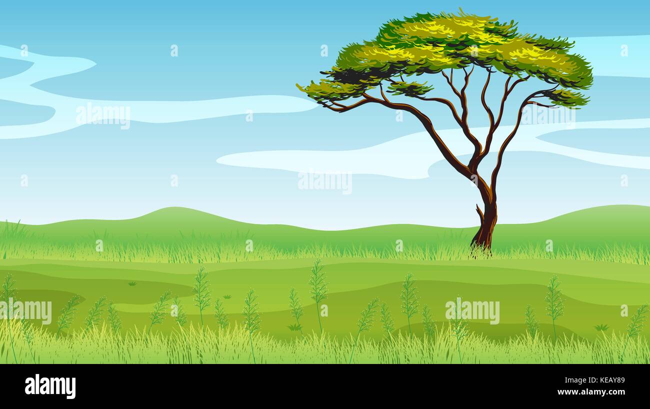 Illustration of a single tree on the green field Stock Vector