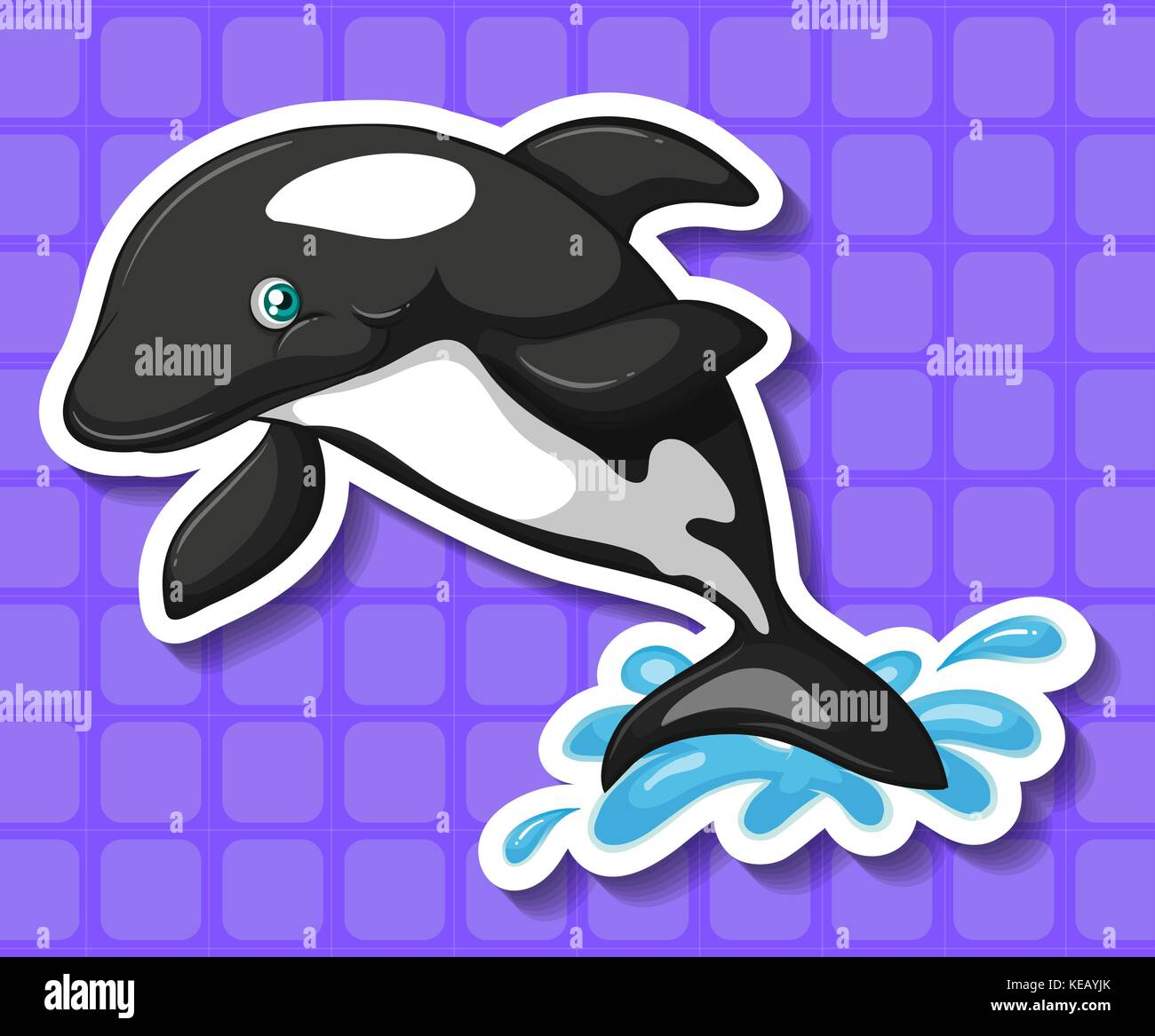 Closeup black and white whale splashing water Stock Vector Image & Art ...