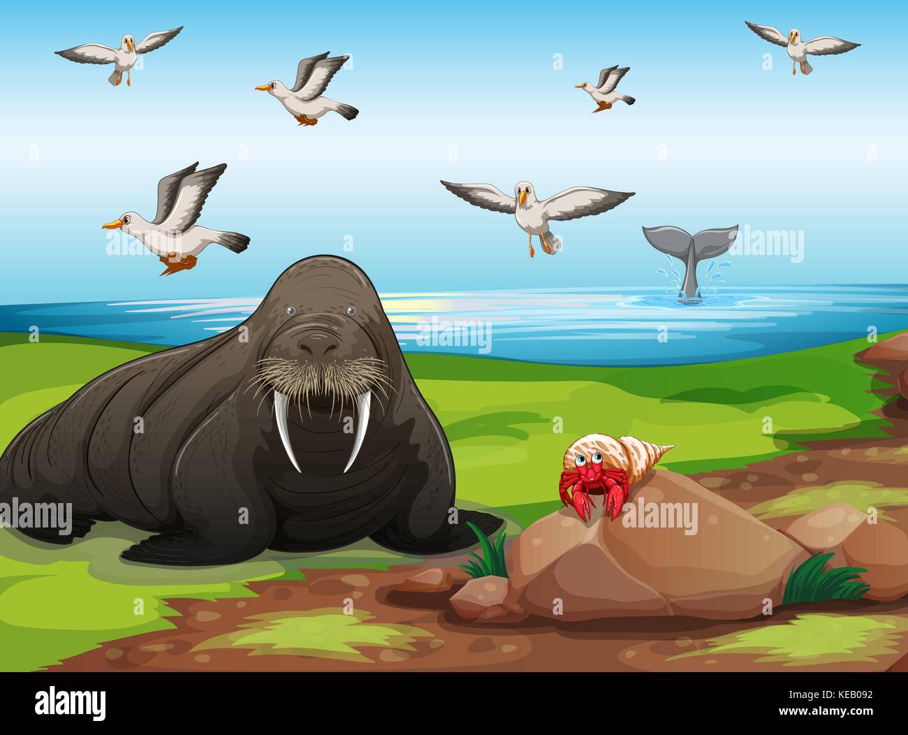 Sea animals and birds by the ocean Stock Vector Image & Art - Alamy Sea animals and birds by the ocean Stock Vector Image & Art - Alamy