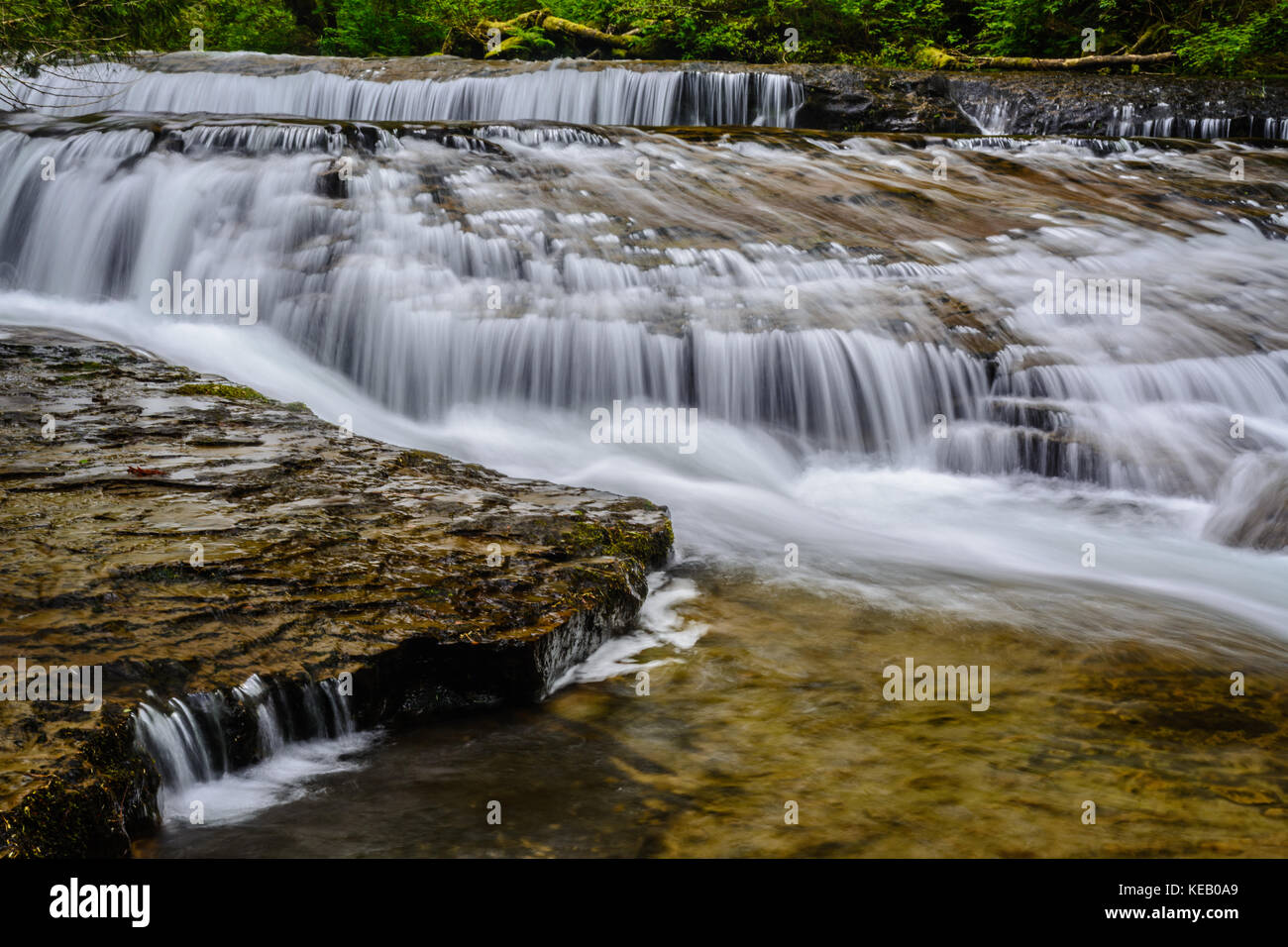 Water smoothly cascades down Sweet Creek in Lane County, Oregon during the springtime. Stock Photo