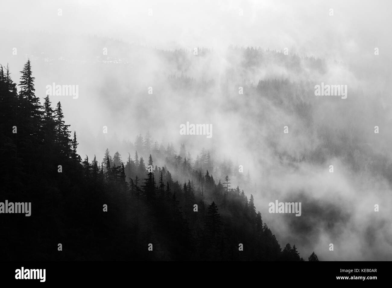 Low clouds and mist hang over the Willamette National Forest in Central Oregon during a rainy Spring day. Stock Photo