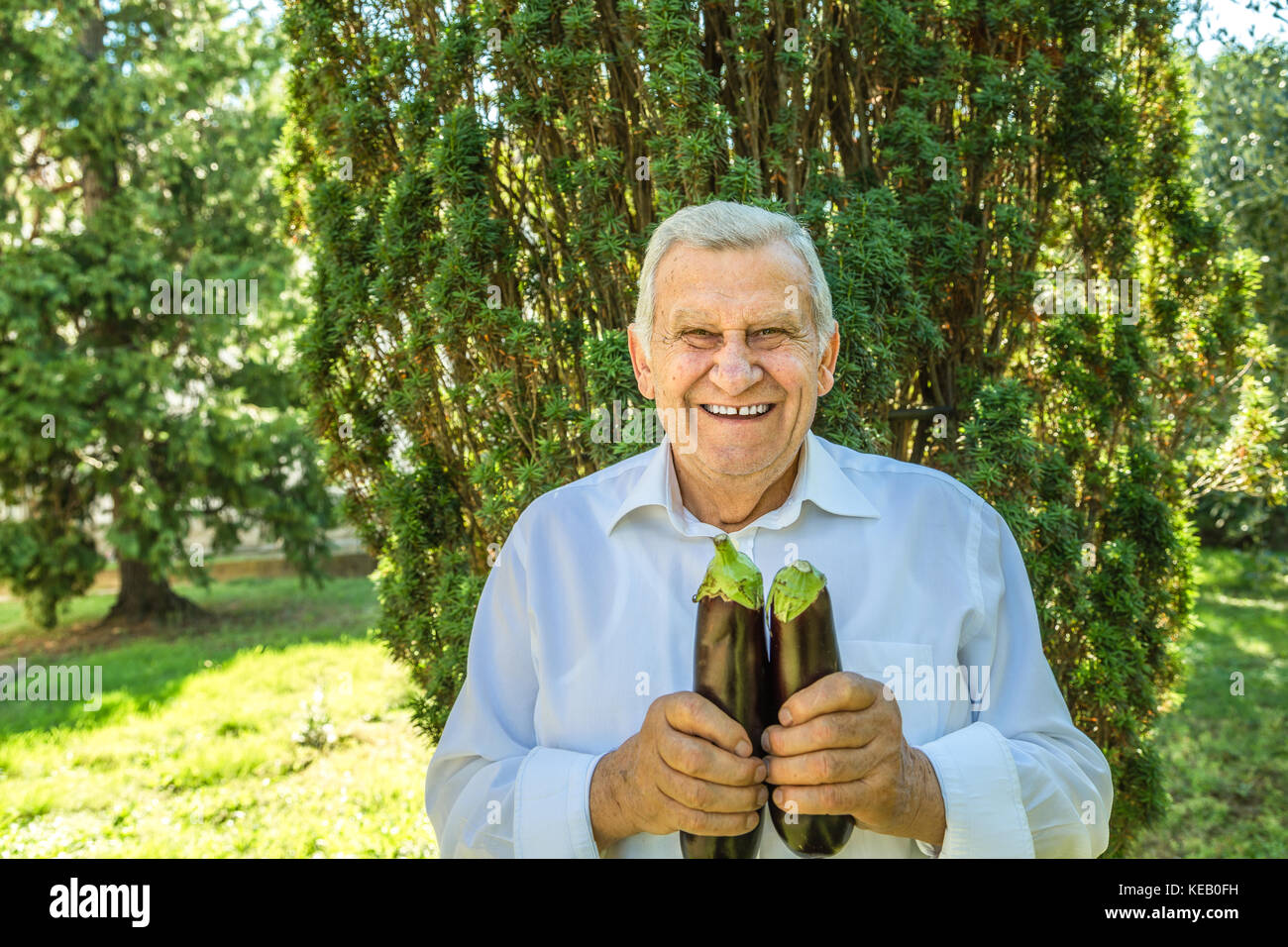 elderly man holding two eggplants Stock Photo Alamy