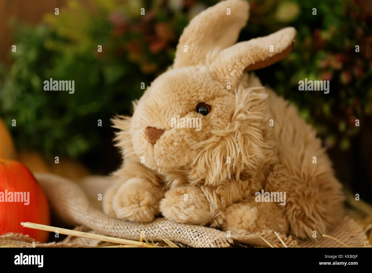 Fluffy toy bunny on the wooden brown background Stock Photo - Alamy