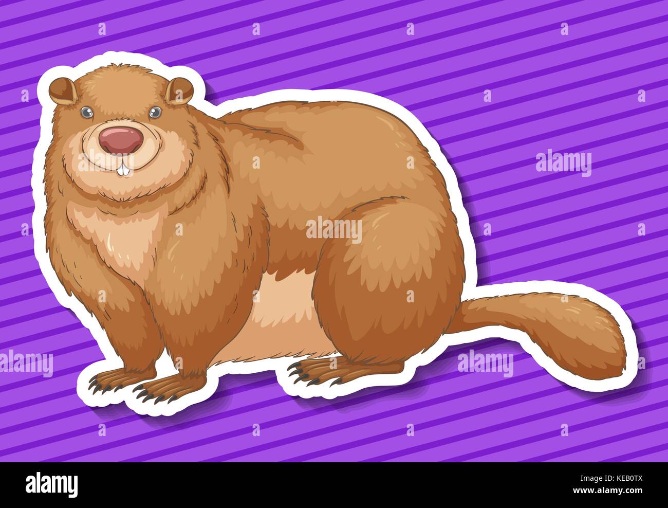Fat beaver Stock Vector Images Alamy