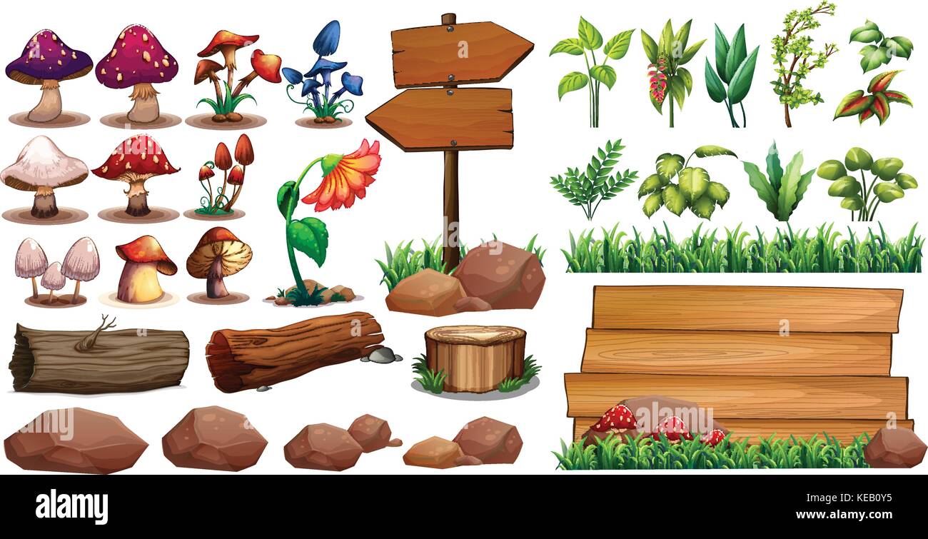 Mushrooms and different kinds of plants Stock Vector