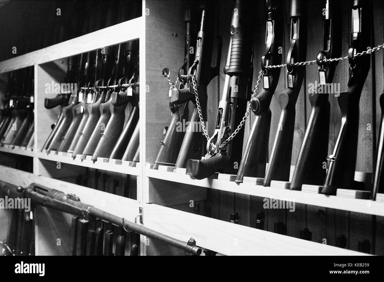 Pr David presents Forensic Police Laboratory in Lyon, France Stock