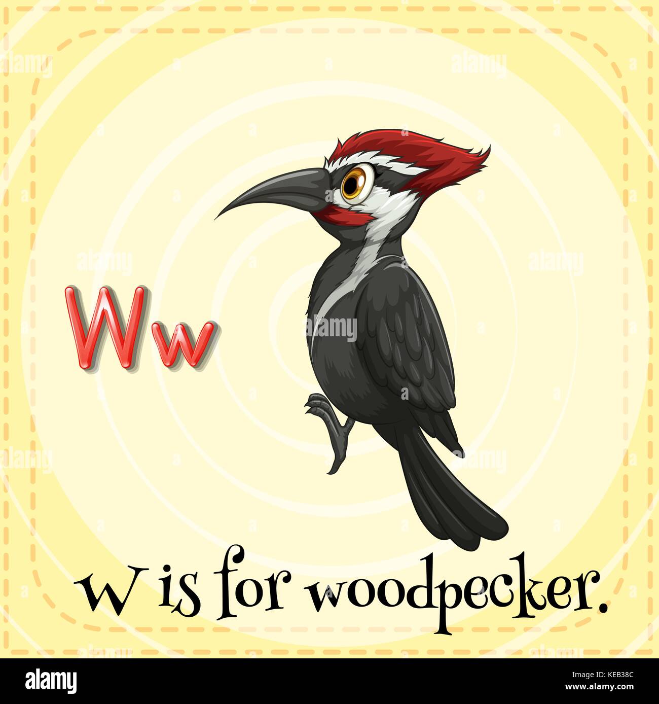Flashcard letter W is for woodpecker Stock Vector Image & Art - Alamy