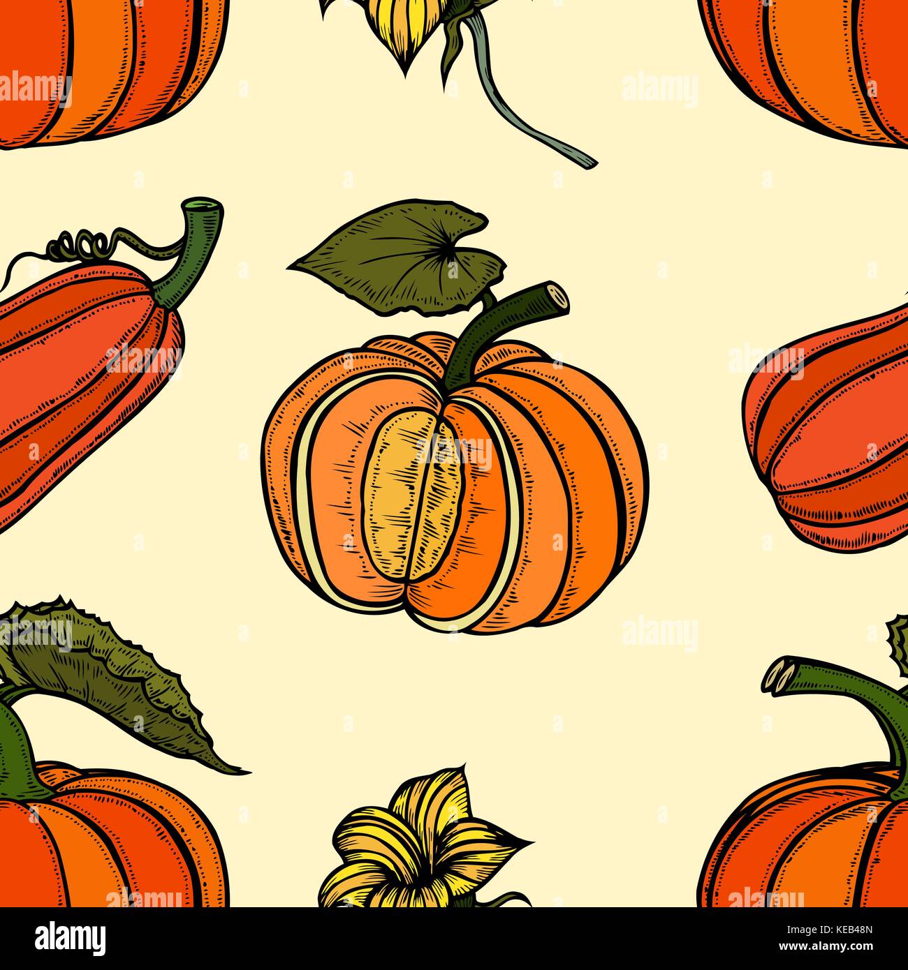 Vector botanical pattern with pumpkins, flowers and leaves Stock Vector ...