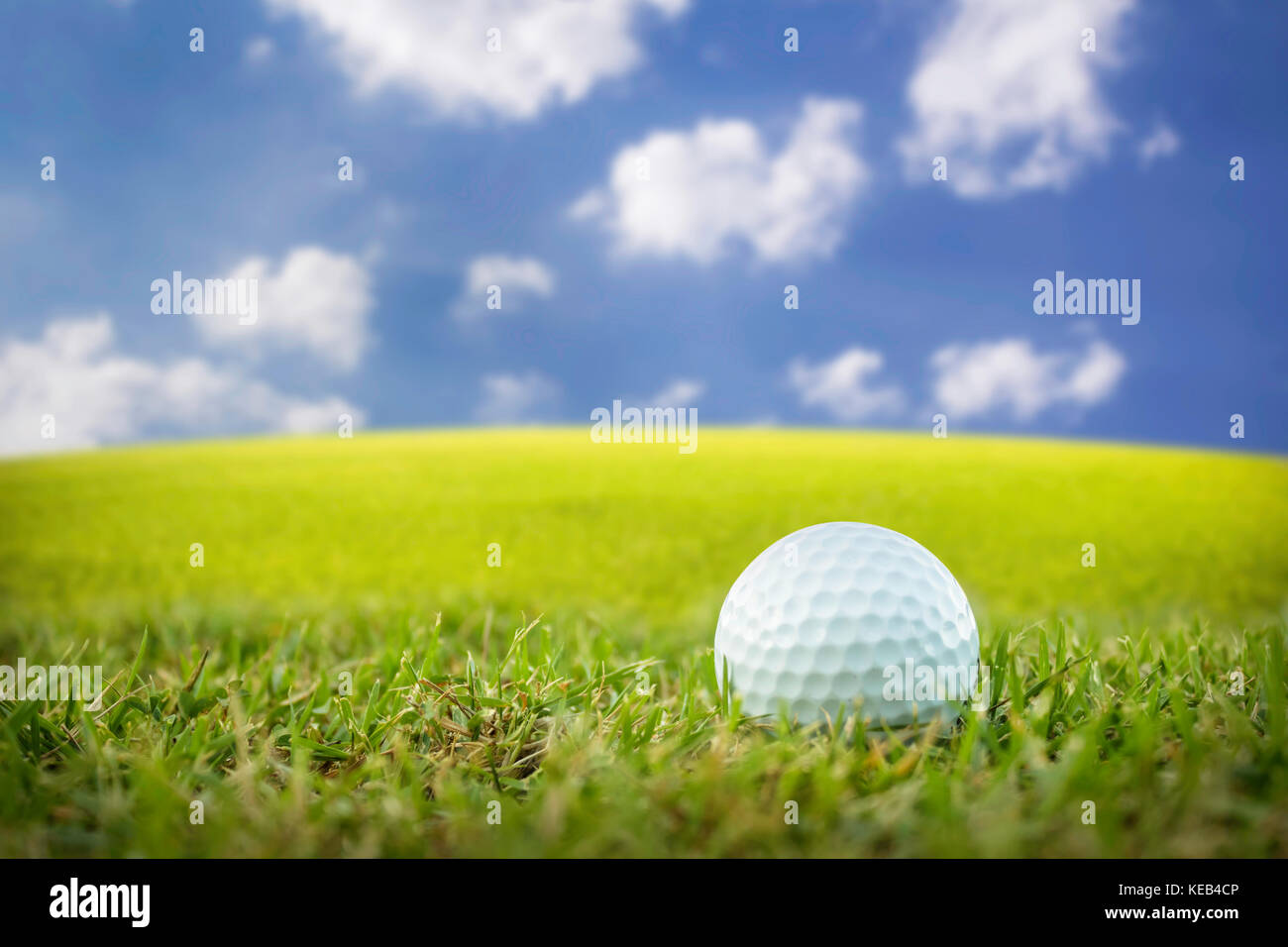 golf-ball-on-a-golf-course-stock-photo-alamy