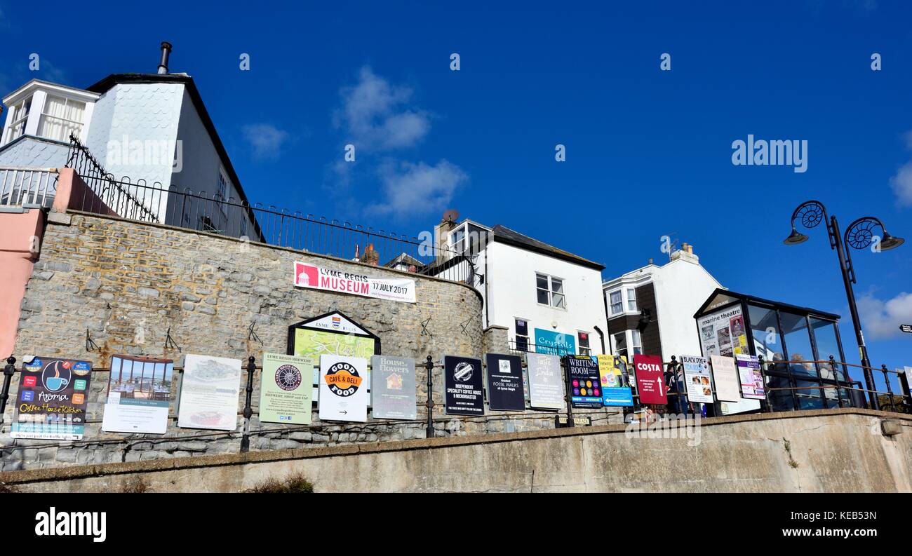 Lyme Regis Dorset England UK Stock Photo Alamy