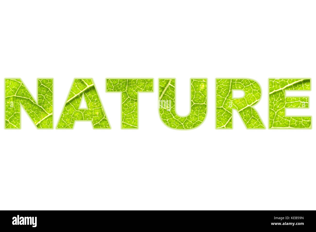 Nature word filled with green leaf rugged surface macro Stock Photo Alamy