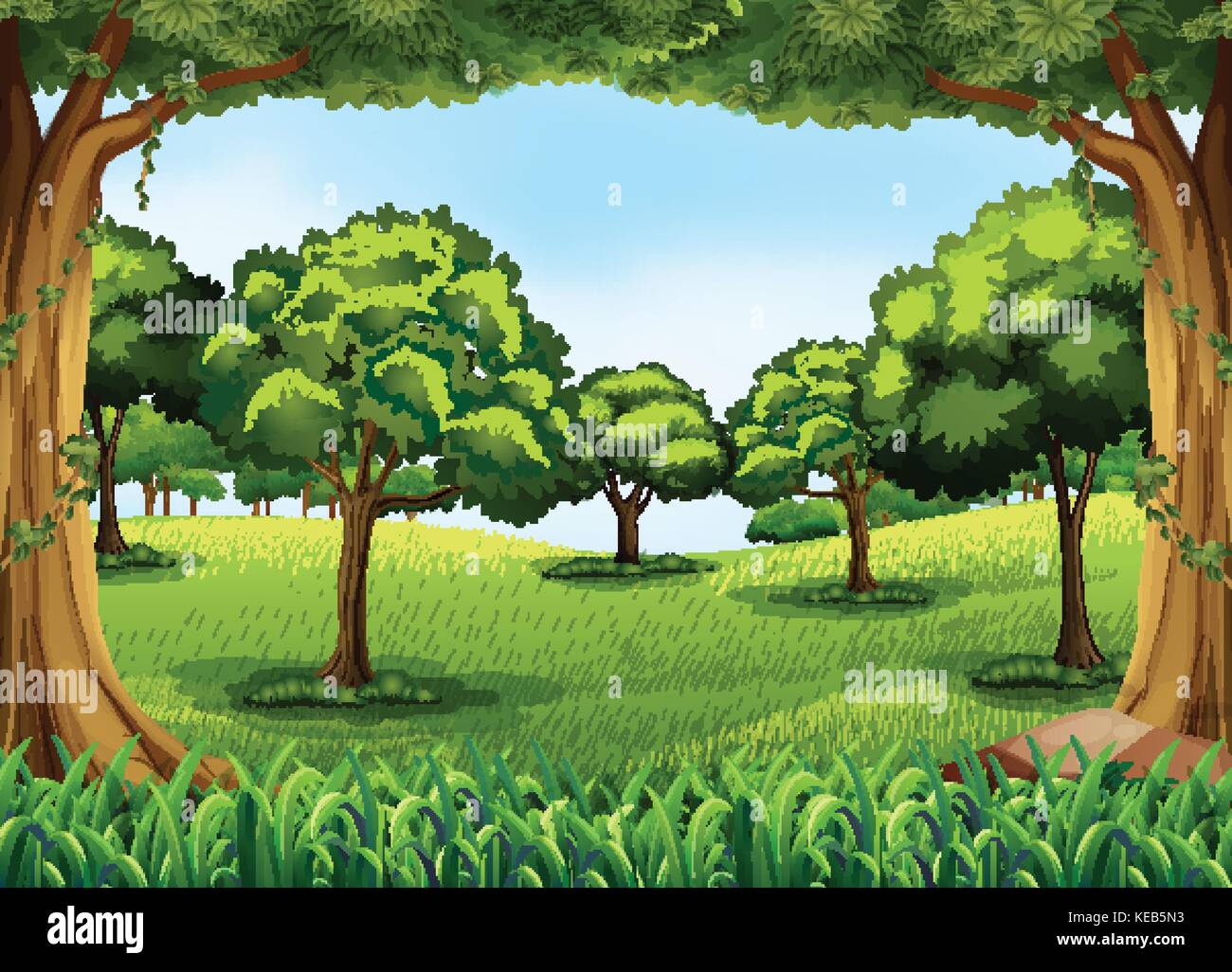 Forest scene at day time Stock Vector Image & Art - Alamy