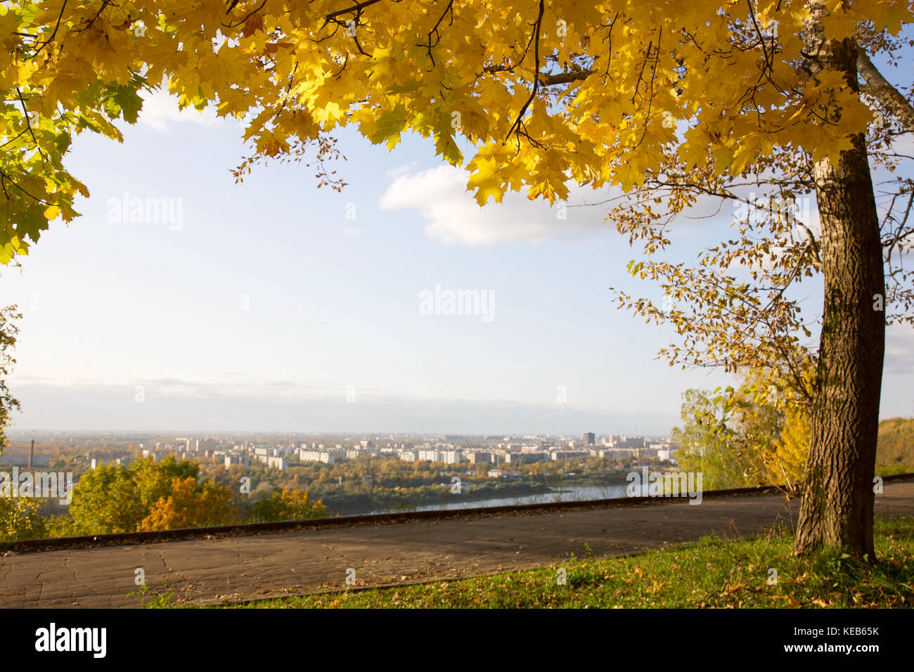 Golden autumn in the sunny city park Stock Photo - Alamy