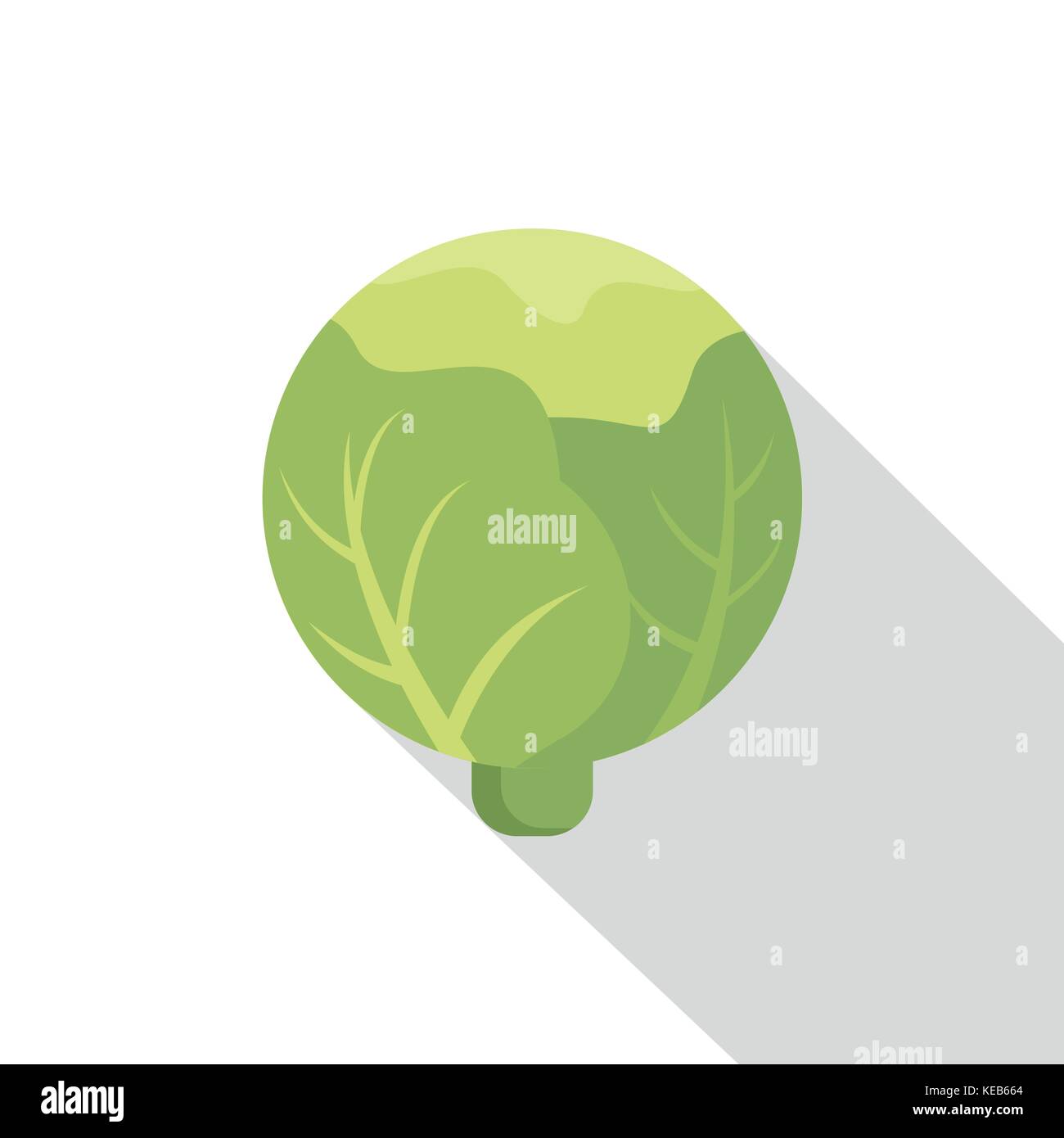 Cabbage icon, flat style Stock Vector Image & Art - Alamy