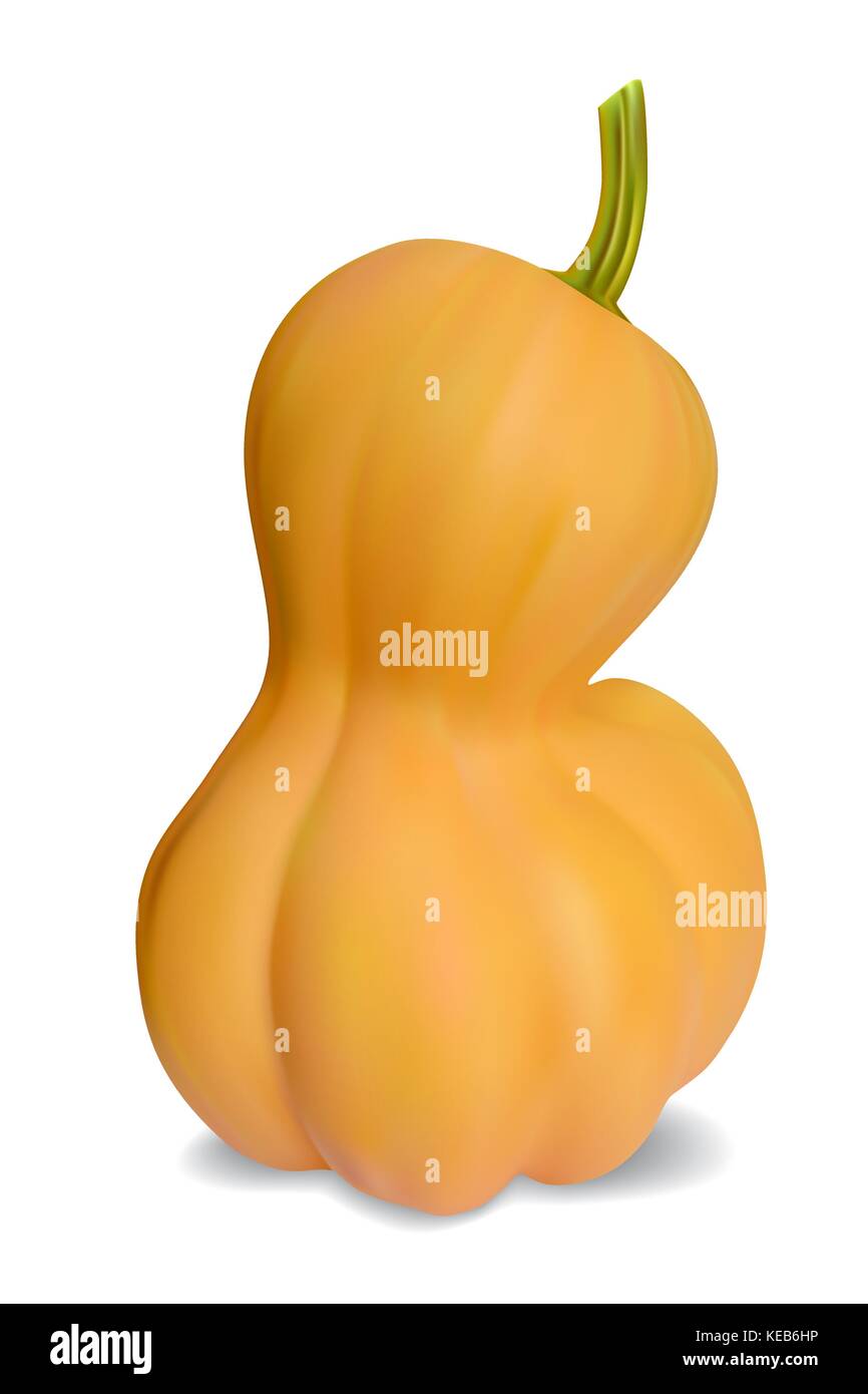 Vector realistic pumpkin. It made using a mesh tool, isolated on white with a shadow Stock Vector