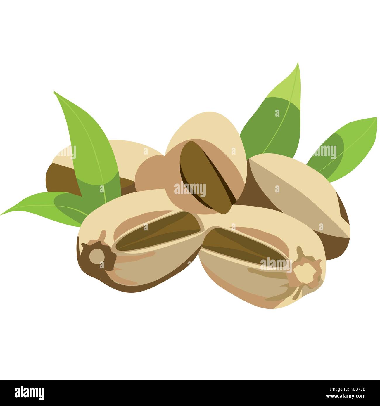 Pistachio vector vectors hires stock photography and images Alamy