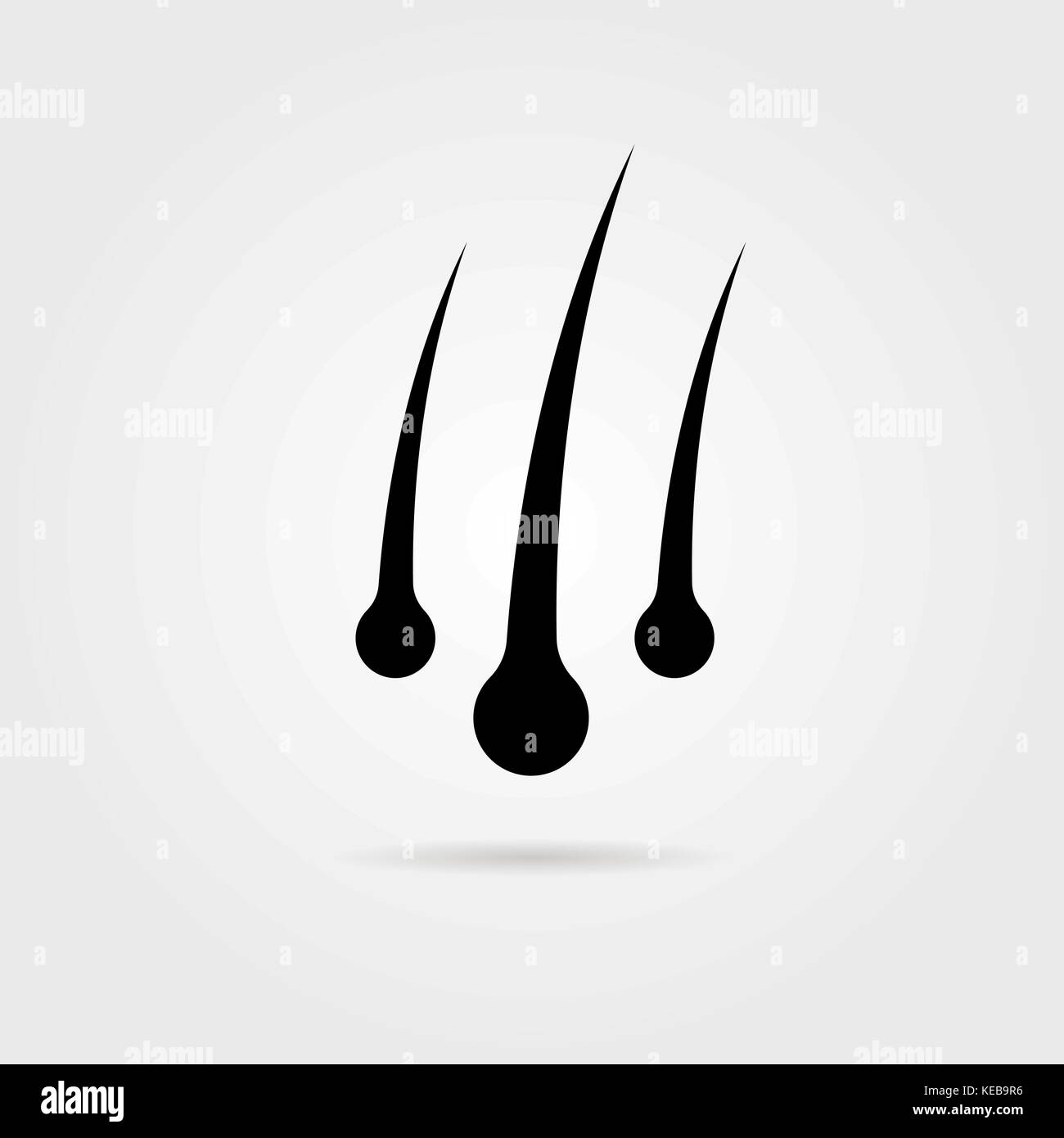 Human hair follicles anatomy hi-res stock photography and images - Alamy