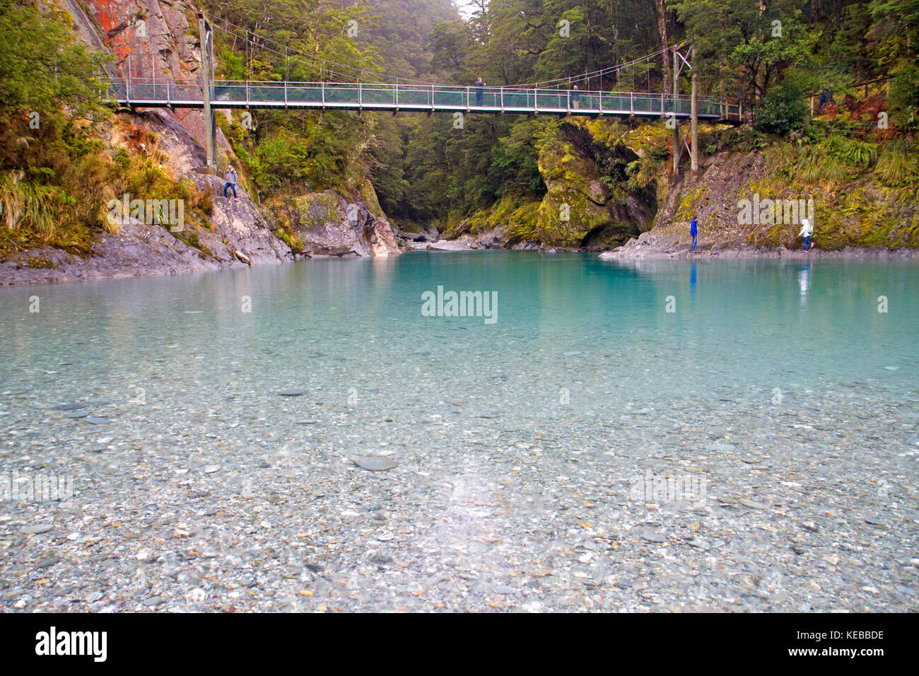 The Blue Pools near Haast Pass Stock Photo Alamy