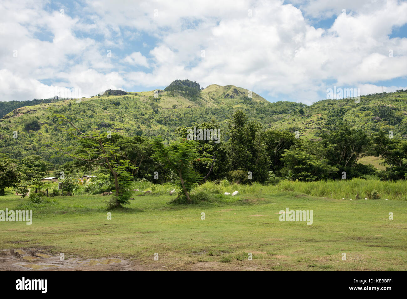 Sleeping Giant mountain landscape with lush, tropical rainforest in