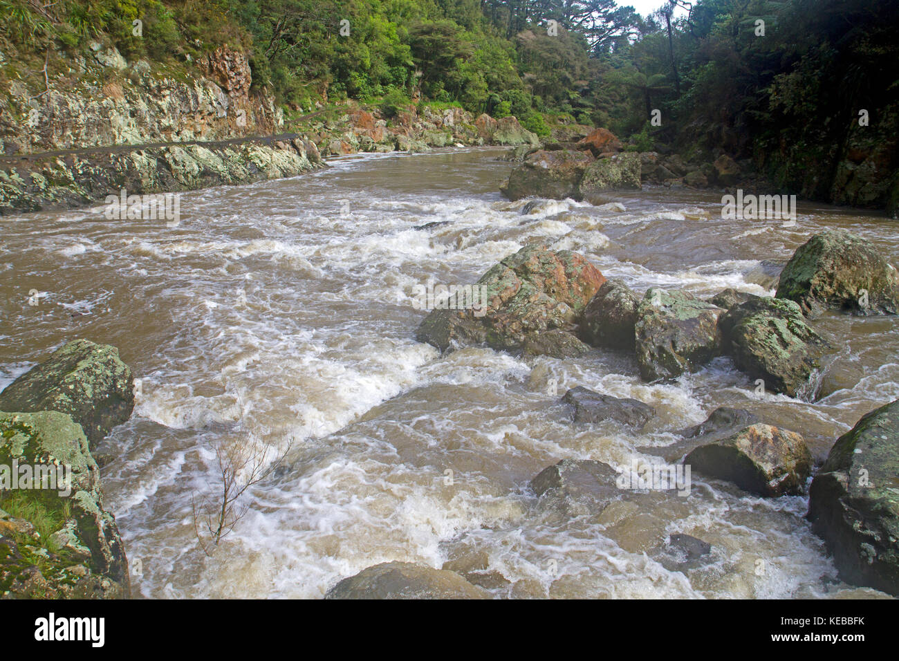 Ohinemuri River running through Karangahake Gorge Stock Photo