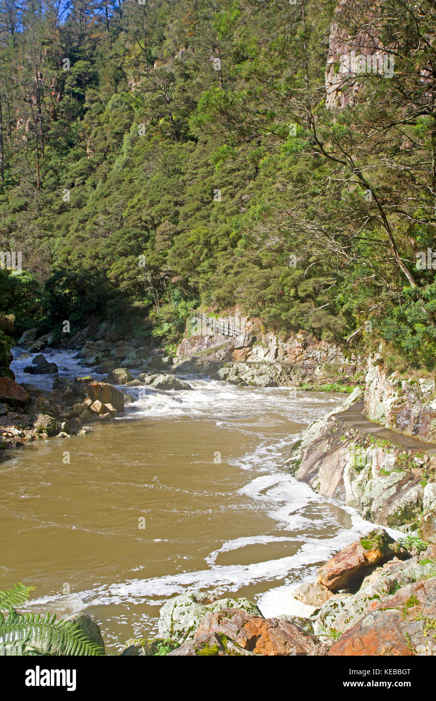 Ohinemuri River running through Karangahake Gorge Stock Photo