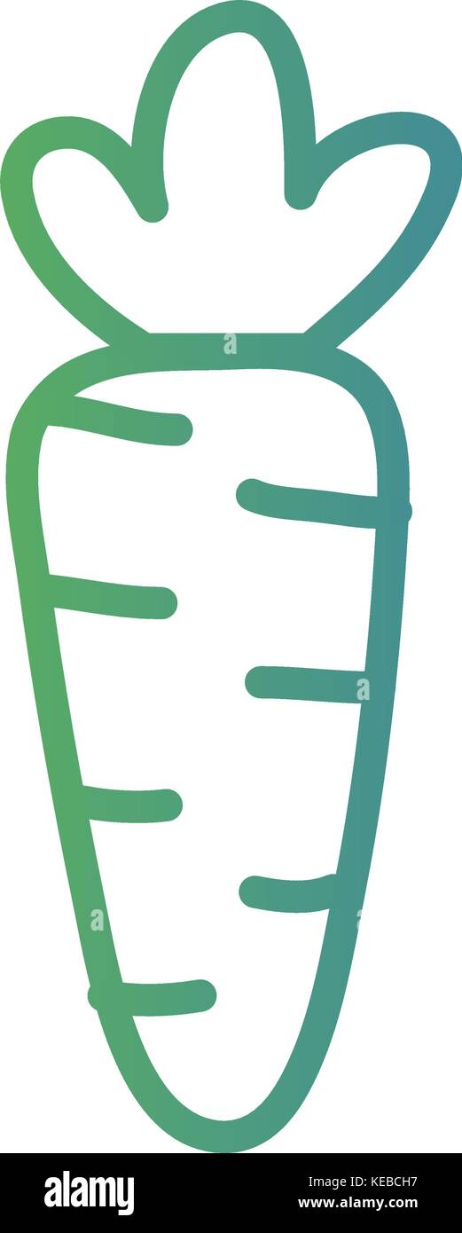 line healthy carrot vegetables food Stock Vector Image & Art Alamy