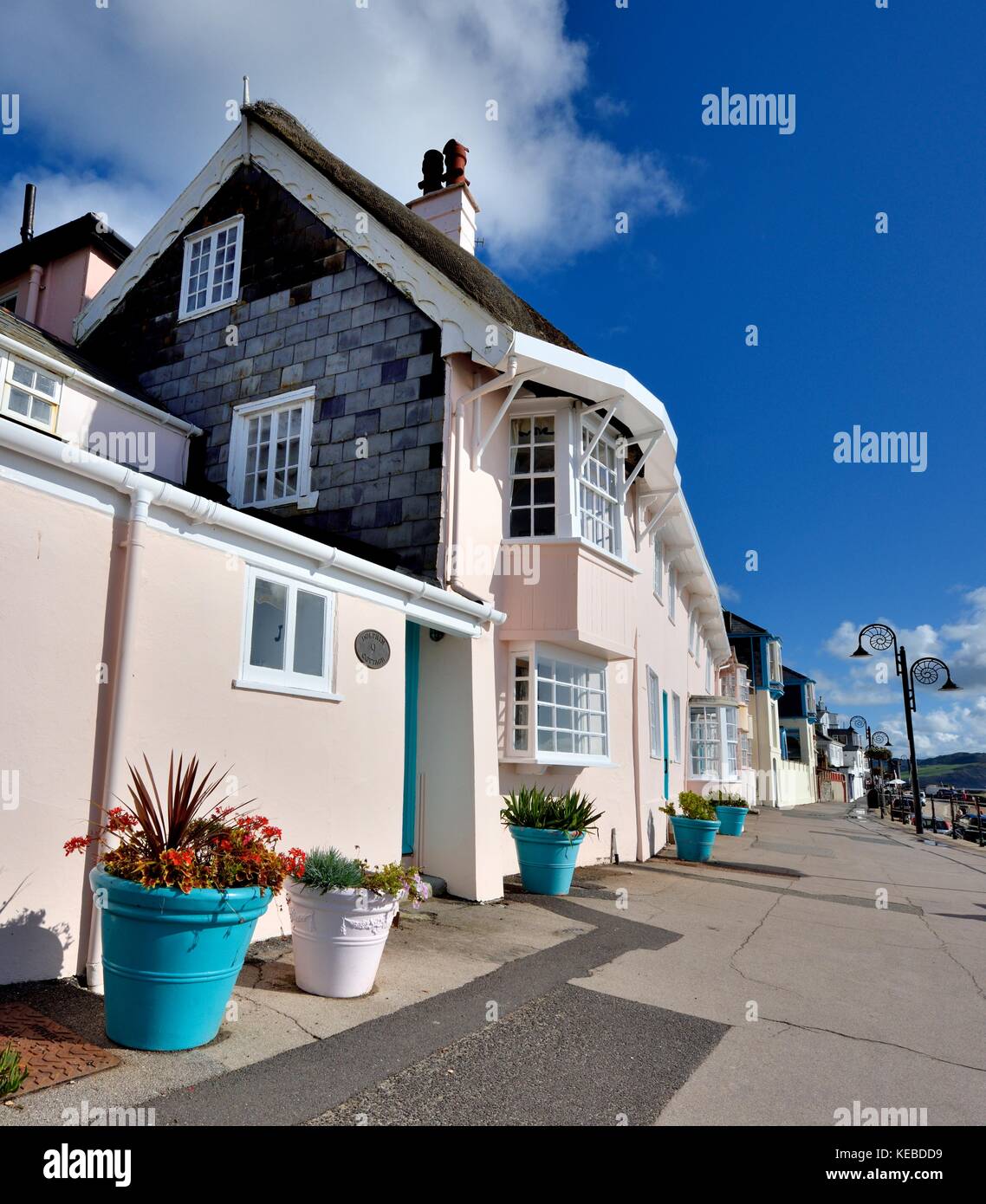 Seaside Holiday Cottages Lyme Regis Dorset England Uk Stock Photo