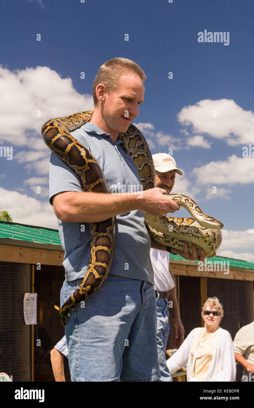Python draped around mans neck at animal rescue facility Stock Photo