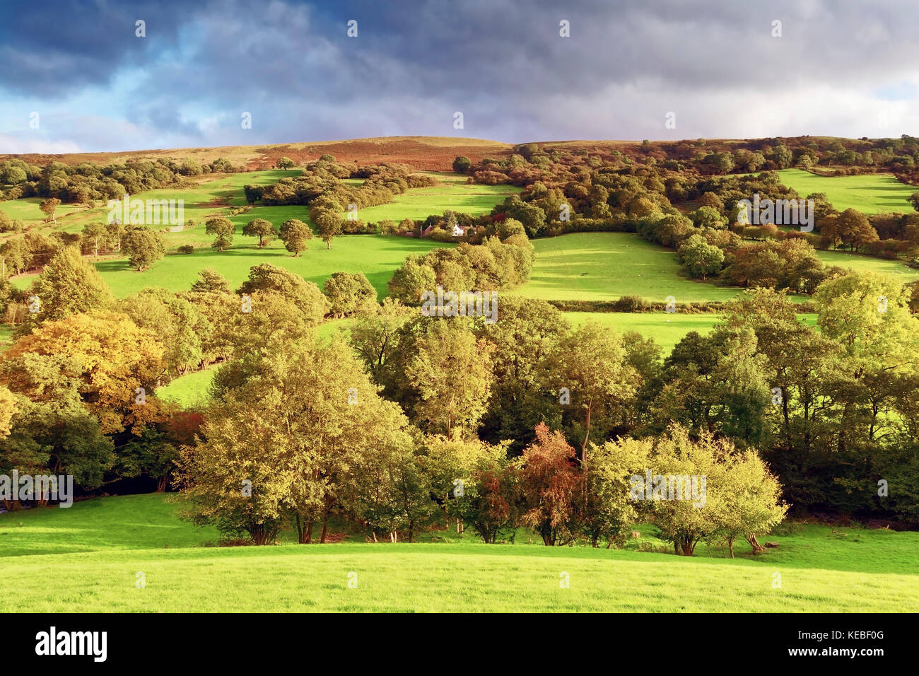Brecon beacons landscape with farmhouse hires stock photography and