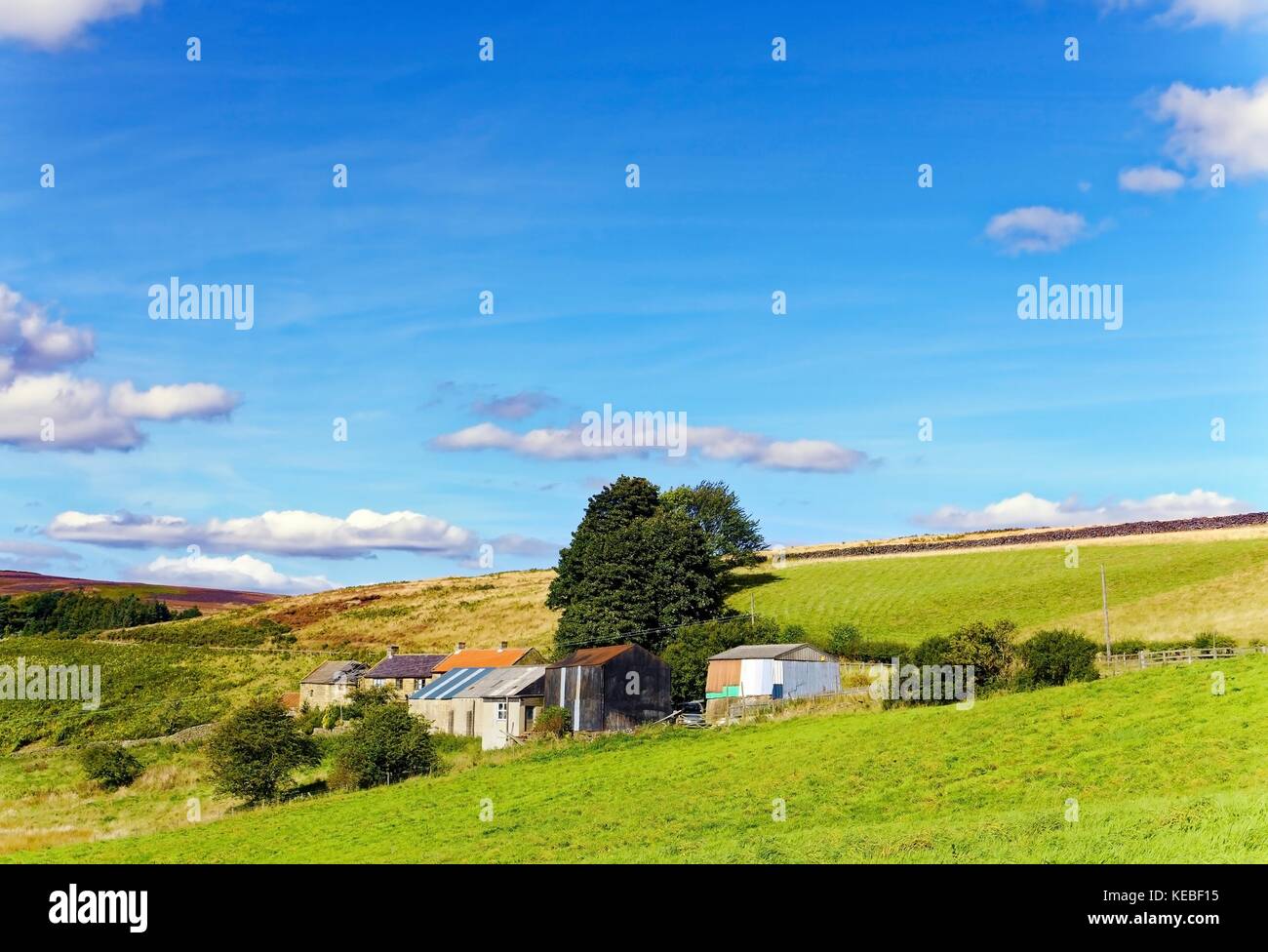 A summer view of a group of farm buildings and trees on Danby Low Moor in the North Yorkshire Moors, England. Stock Photo