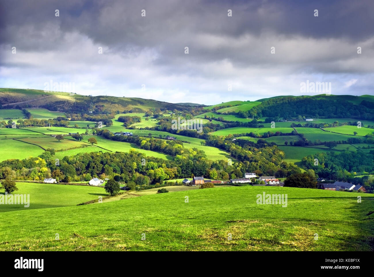 A late summer view of the green landscape of Powys, Wales. as a hint of autumn becomes apparent. Stock Photo