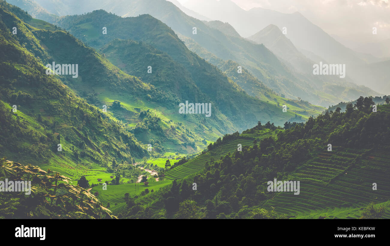 The sun breaks through the monsoon rain to light the lush green paddy fields up in the mountains of North Vietnam Stock Photo