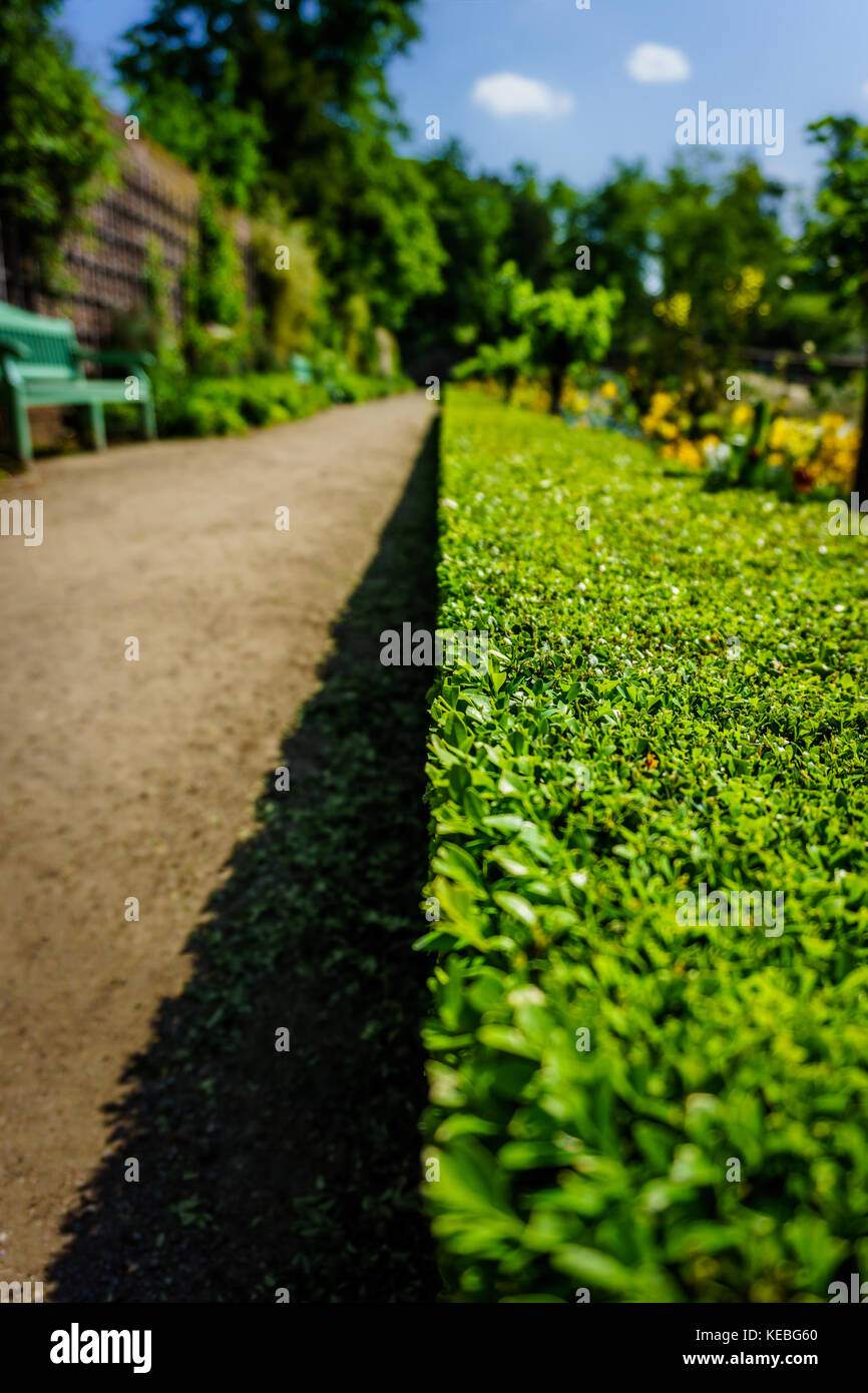 Neat hedge hi-res stock photography and images - Alamy