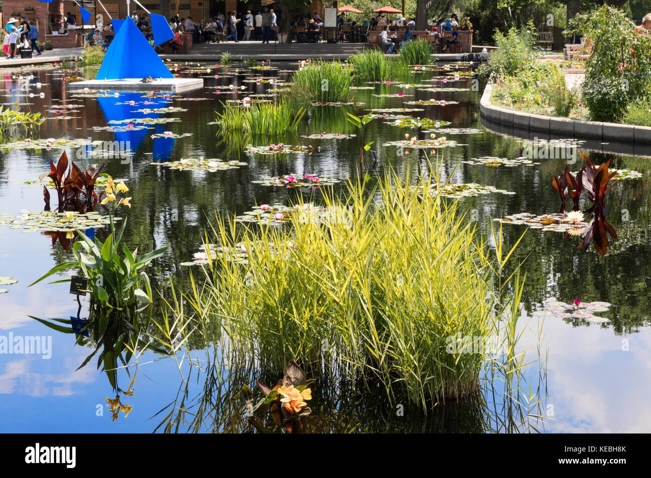 Water Lily Pond, Denver Botanic Gardens, Denver, Colorado, USA Stock Photo Alamy