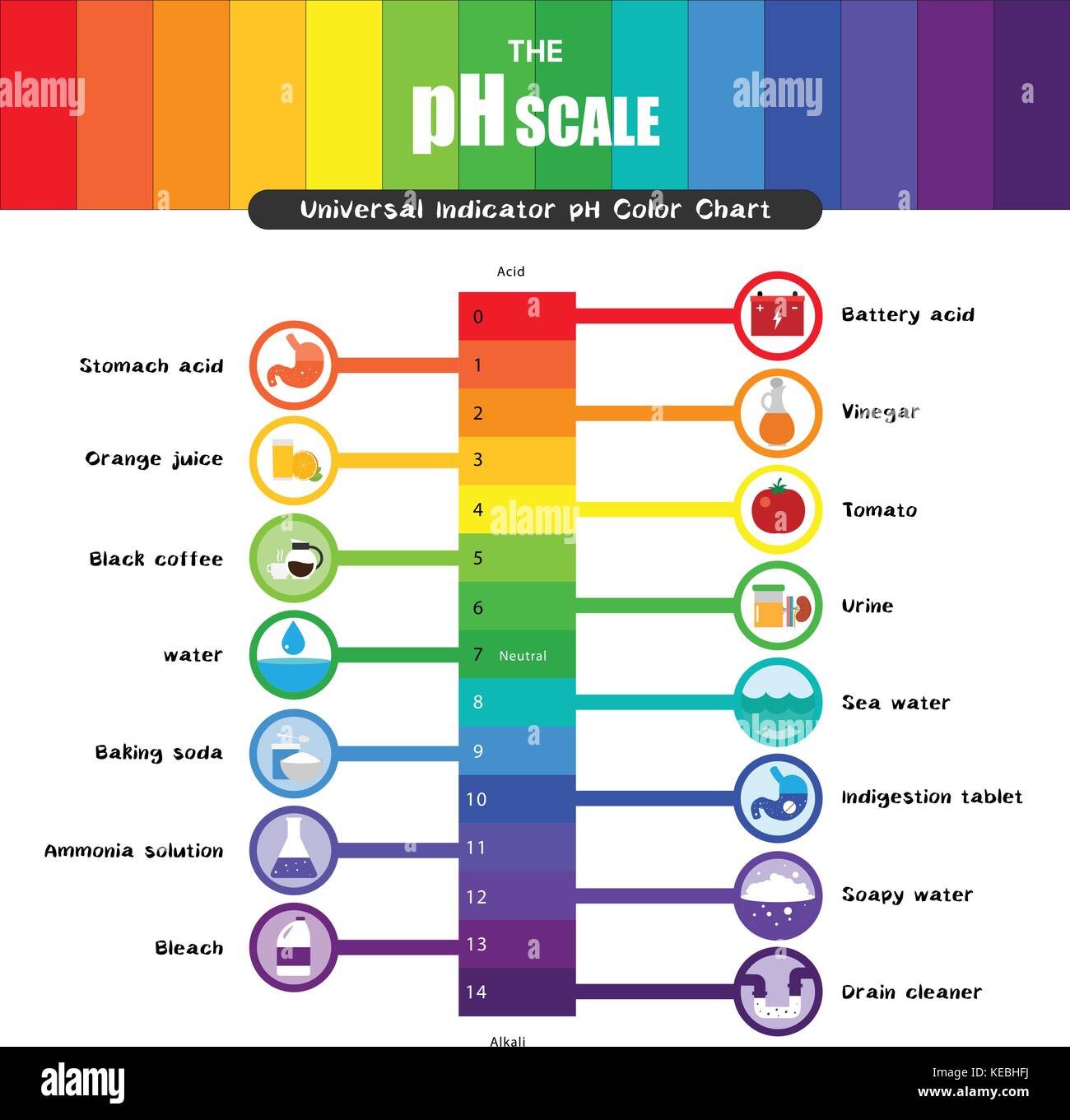 The pH scale Universal Indicator pH Color Chart diagram acidic Stock ...