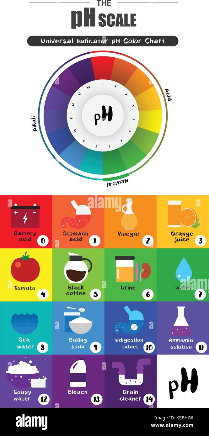 The Ph Scale Universal Indicator Ph Color Chart Diagram Acidic Alkaline Values Common Substances