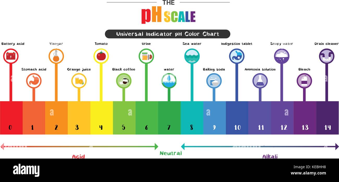 Universal Indicator Paper Chart