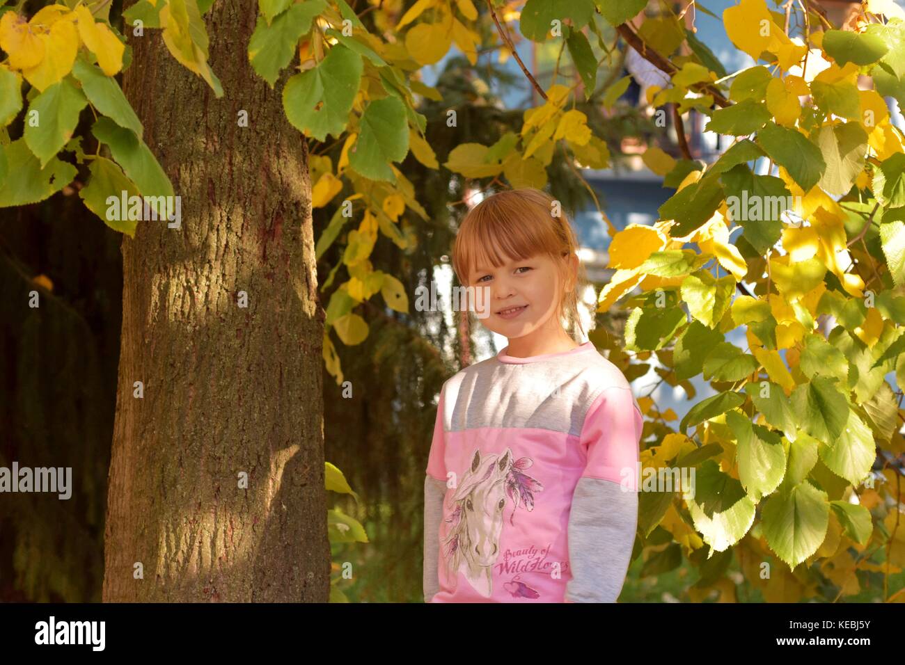 Portrait of a little girl standing beside autumn colored tree Stock Photo