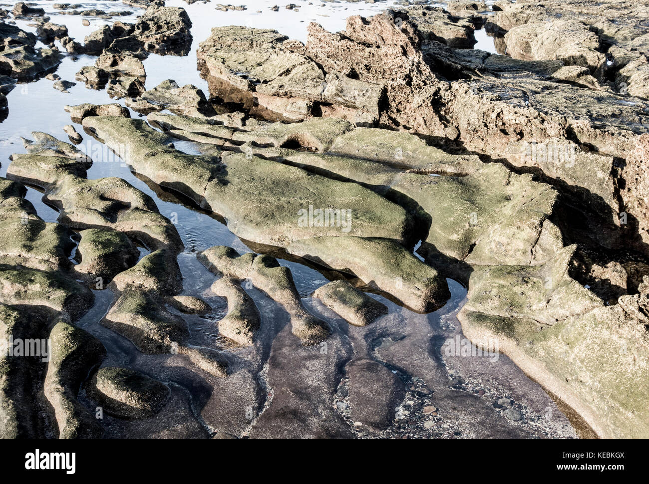 Volcanic rock formations on the north coast of Gran Canaria, Canary ...