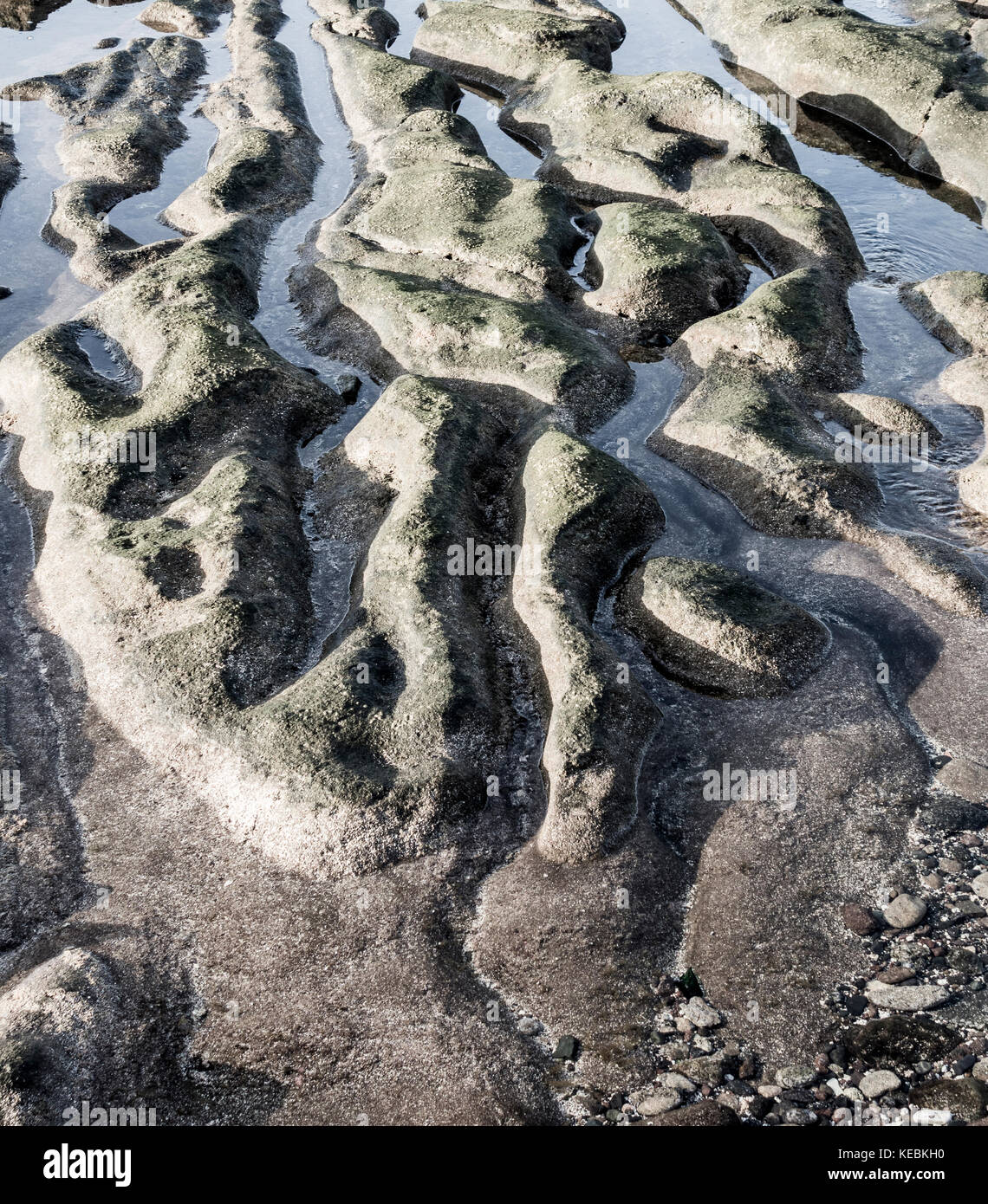 Volcanic rock formations on the north coast of Gran Canaria, Canary ...