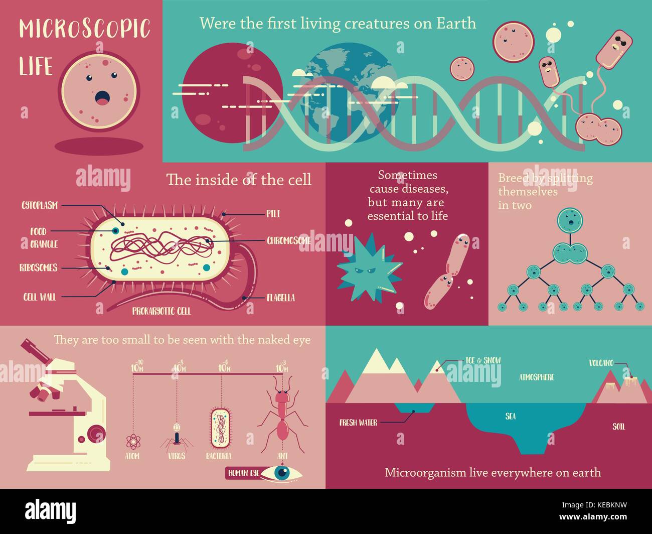 Microorganism life infographic illustration vector Stock Vector