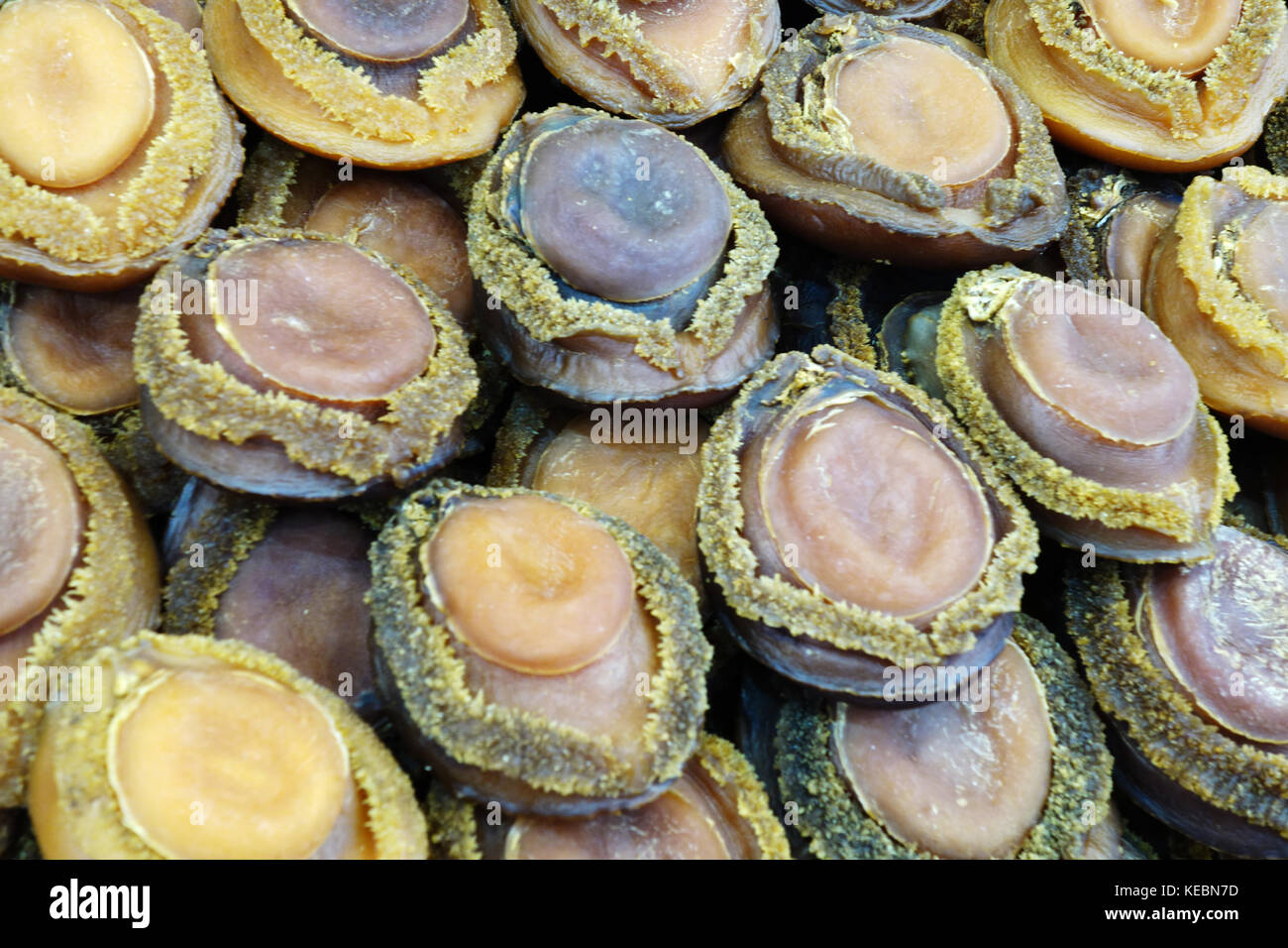 Dried abalone sold on the market in Hong Kong Stock Photo Alamy